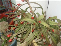 58419de3-22.02.2011. 116.jpg